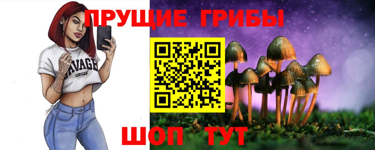 Урюпинск  Псилоцибиновые грибы Psilocybine cubensis  цена наркотик  Вход с VPN  Галлюциногенные грибы мицелий 