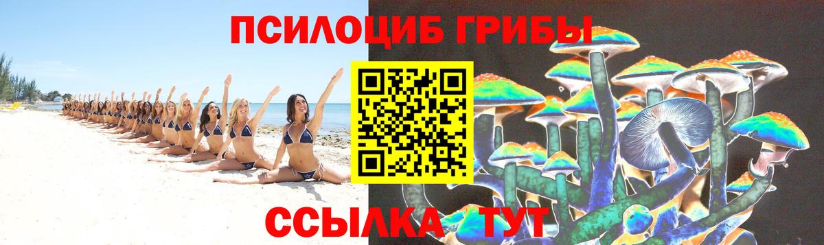 Галлюциногенные грибы Cubensis Урюпинск