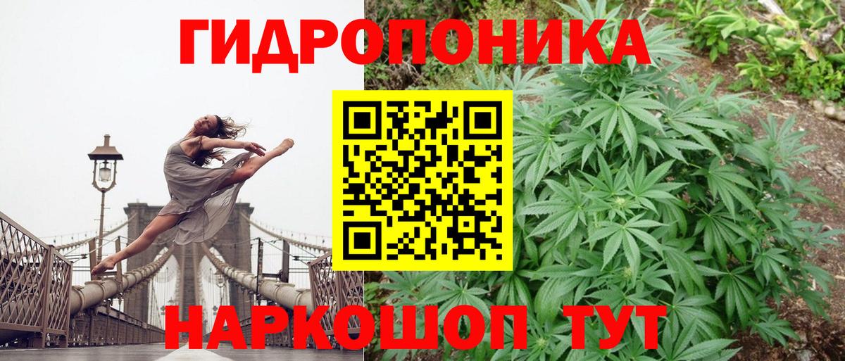 Марихуана тримм  Конопля планчик  Шишки марихуана сатива  Урюпинск  Канабис ГИДРОПОН  Вход с VPN 